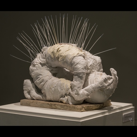 Meet your Posher, Shandra - Picture 3 of 12